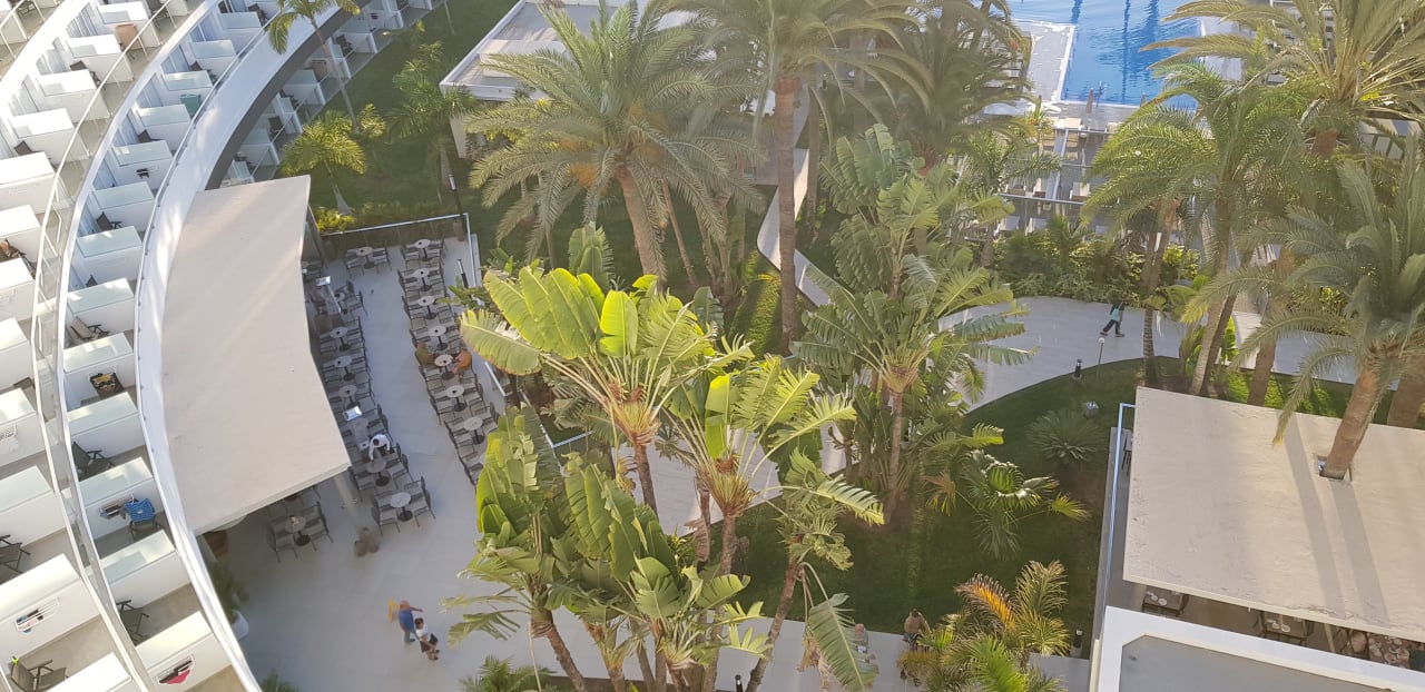 Ausblick Hotel Riu Palace Palmeras