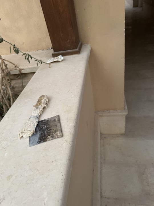 Zimmer Makadi Spa - Adults only