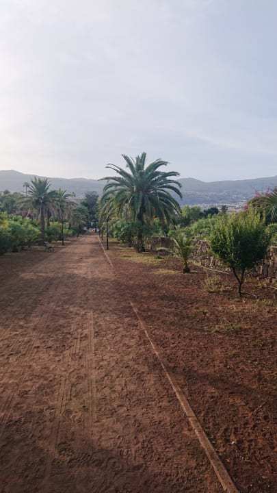 Gartenanlage TRH Taoro Garden