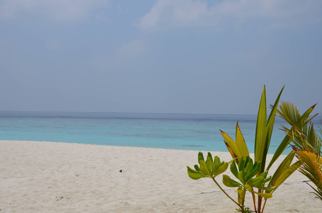 Malediven 3/2015 Adaaran Select Meedhupparu Island Resort - Premium All Inclusive