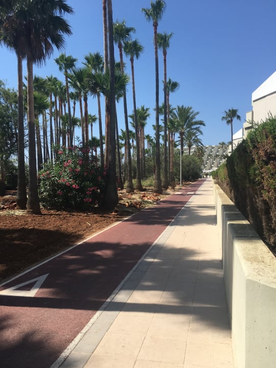 Sonstiges Hipotels Mediterraneo Club