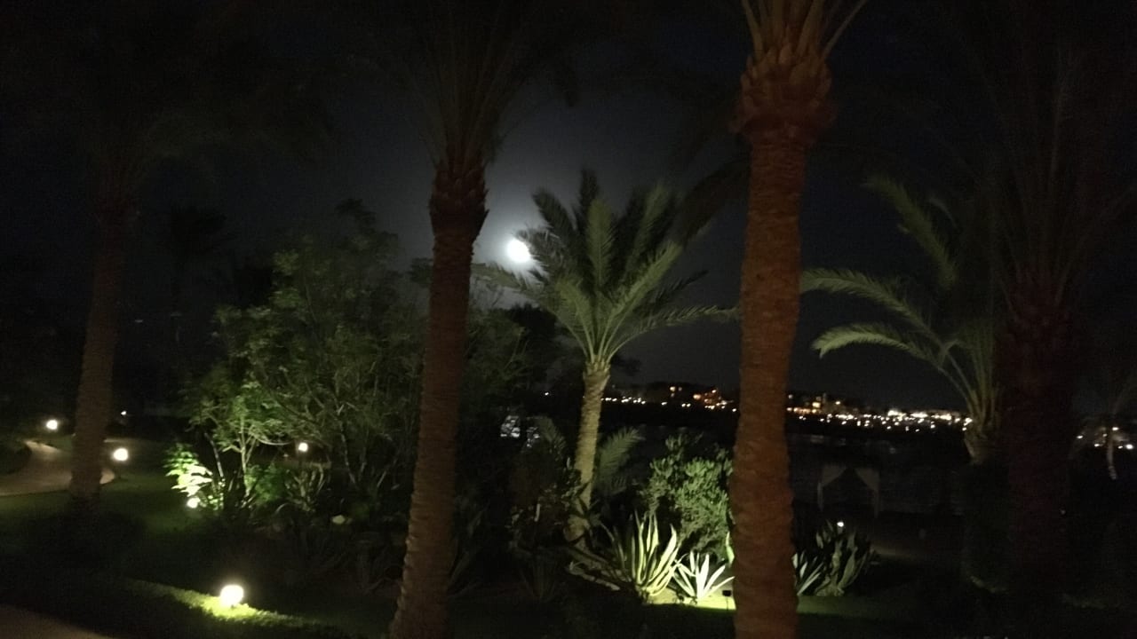 Gartenanlage Steigenberger Coraya Beach - Adults only