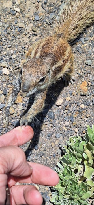 Sonstiges Elba Carlota Beach & Golf Resort