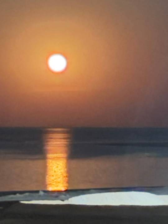 Zimmer JAZ Elite Asteria