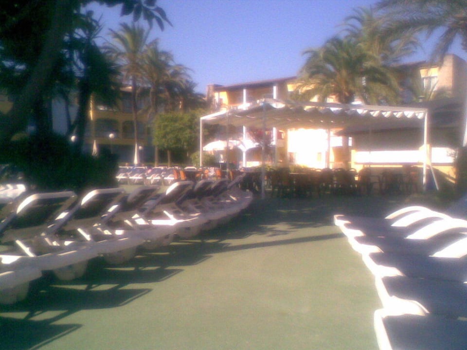 genug Liegestühle Alcudia Garden Aparthotel