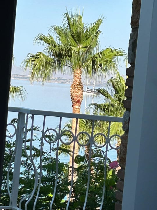 Ausblick TUI MAGIC LIFE Bodrum - Adult Only (16+)