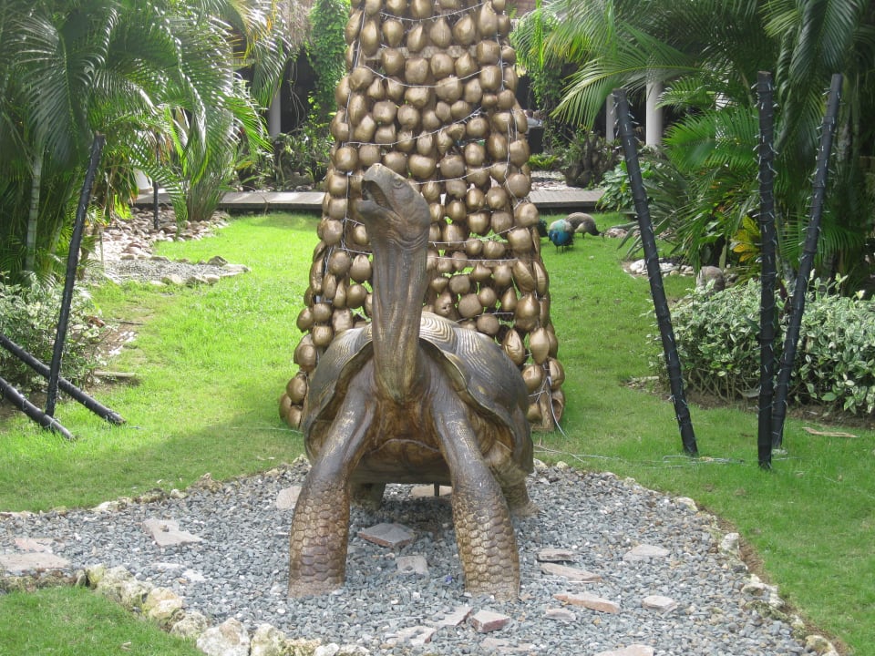 Begehrtes Fotoobjekt Grand Sirenis Punta Cana Resort & Aquagames