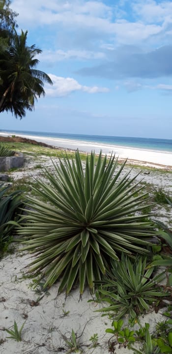 Strand Neptune Village Beach Resort & Spa