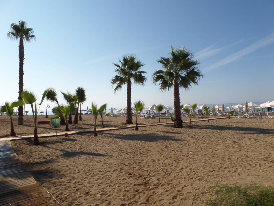 Weg zum Strand Sultan of Dreams Hotel & Spa