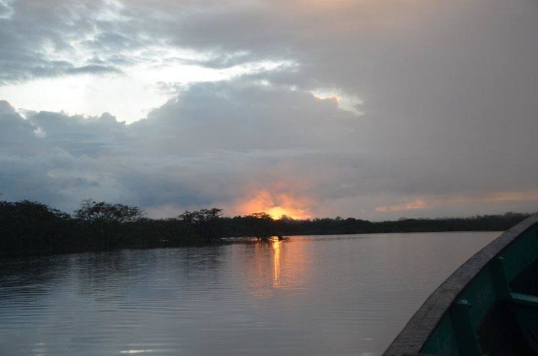 Abendliche Bootstour Guacamayo Ecolodge