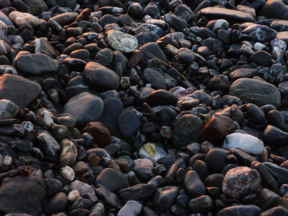 Kiesel Dimitra Beach Hotel & Suites