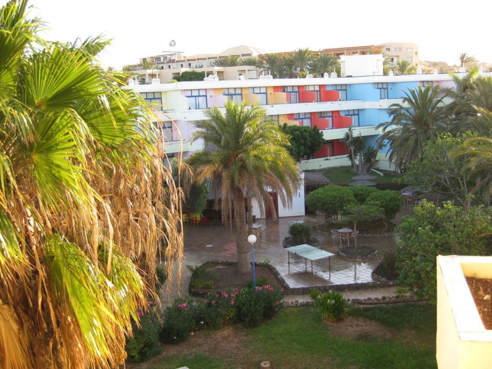 Garten SBH Fuerteventura Playa