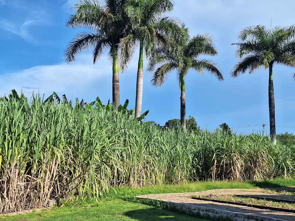 Sonstiges Blau varadero - Adults only