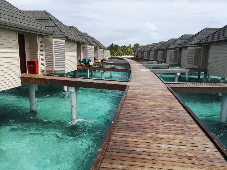 Zimmer Summer Island Maldives