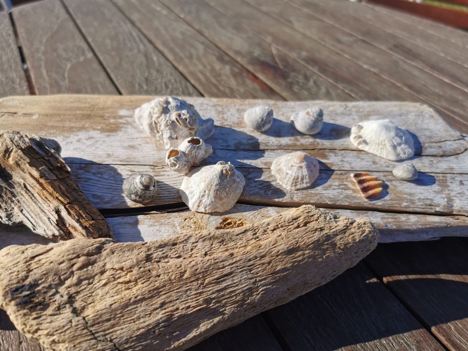 Sonstiges alltoura Club Hotel Poseidon Palace