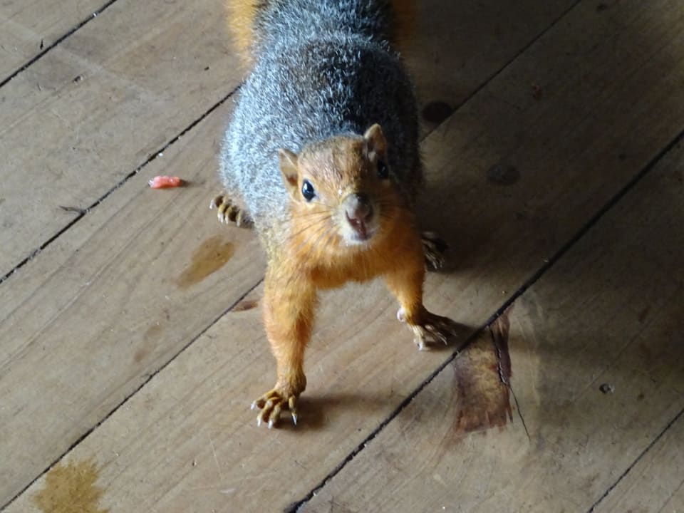 Sonstiges Shimba Hills Lodge