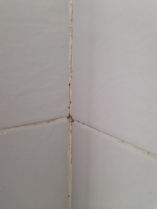 Zimmer Ahoi! Urban Beach Hotel