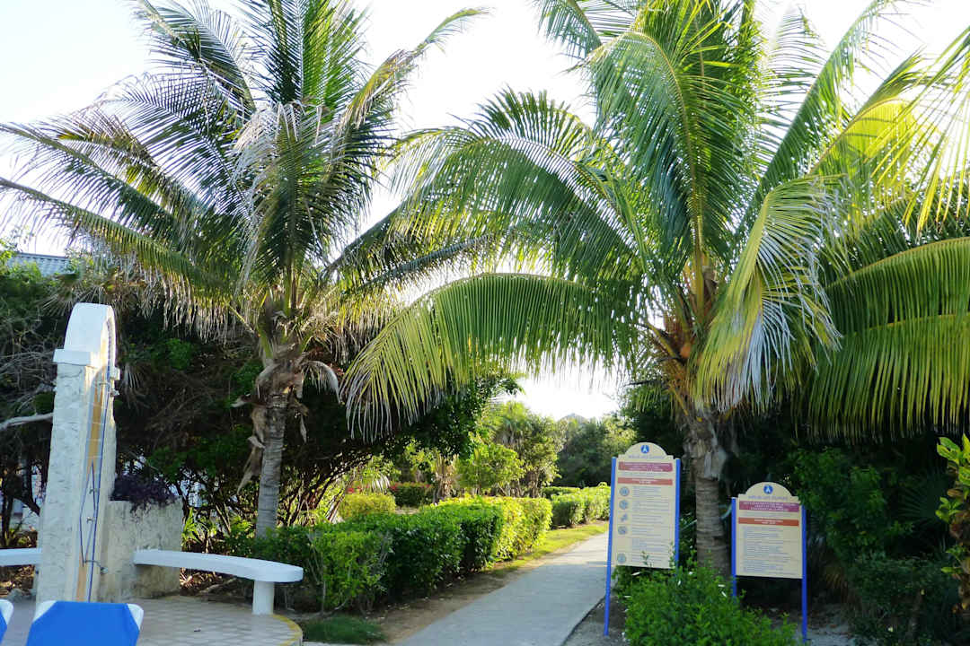 Wege von und zum Pool Melia Las Dunas