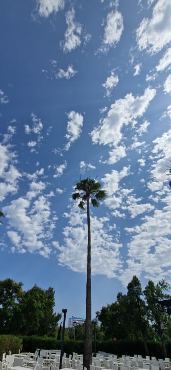 Ausblick Protur Vista Badia Aparthotel