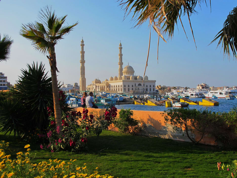 Citadel Azur Resort Pickalbatros Citadel Resort