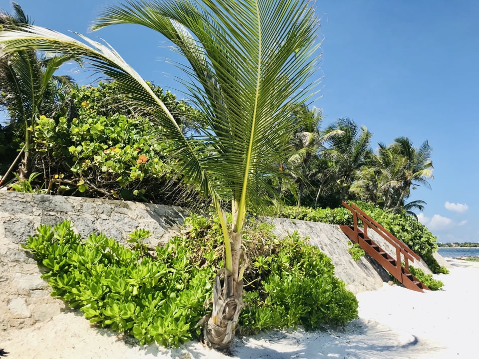 Strand Akumal Bay Beach & Wellness Resort