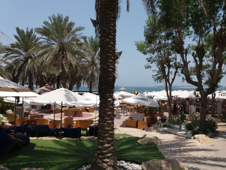 Gartenanlage Hilton Dubai The Walk