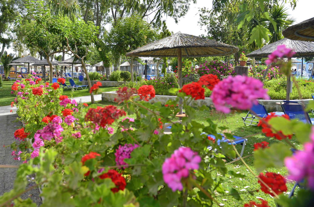 Corissia Park Corissia Beach Hotel