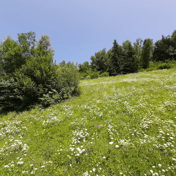Außenansicht Landhof Kreuzsalgut