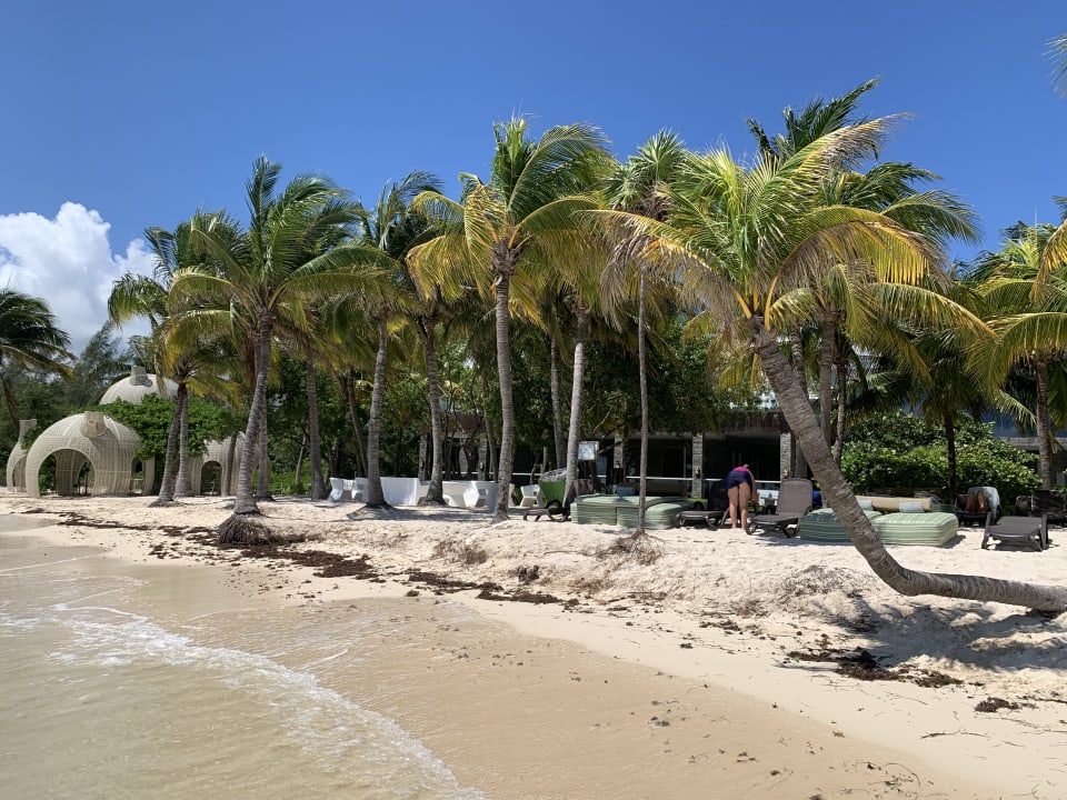 Strand Sandos Caracol Eco Resort & Spa Select Club Adults only - All Inclusive