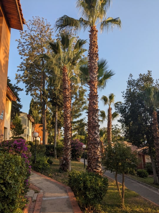 Gartenanlage Hotel Pine Bay Holiday Resort