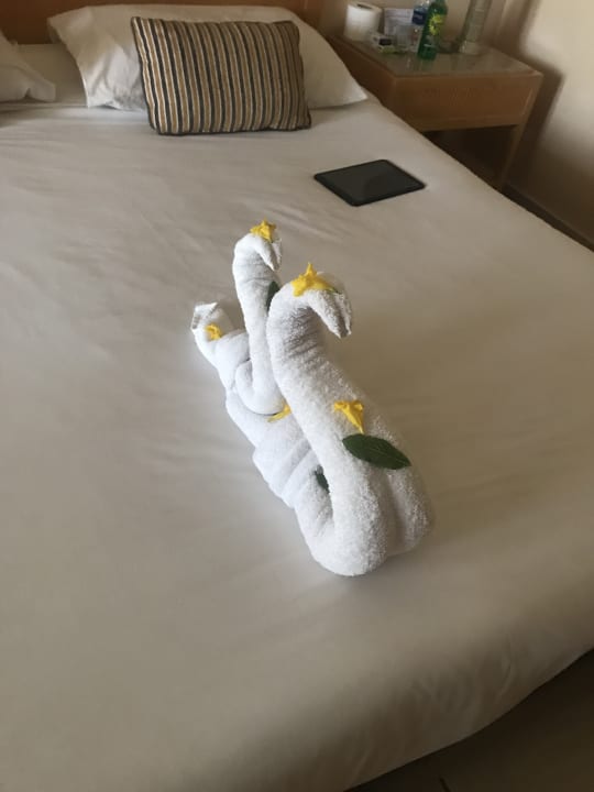 Zimmer Hotel JAZ Makadi Star & Spa
