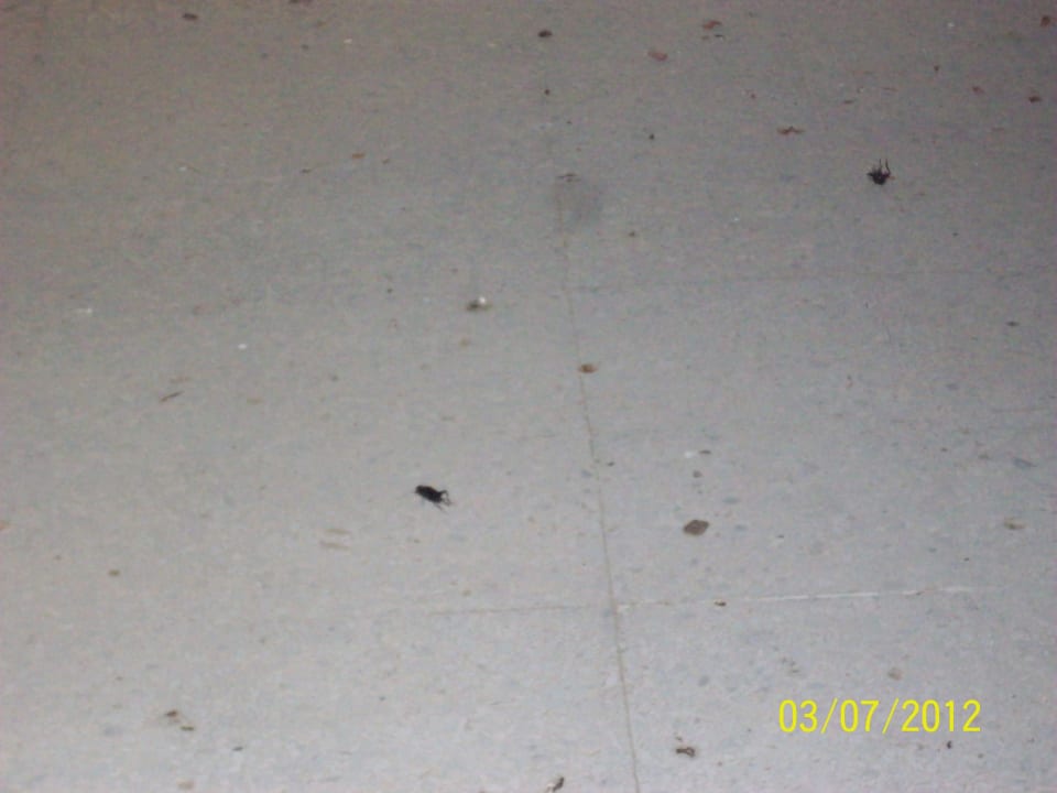 Dreck und sie kommen Houda Golf & Beach Club