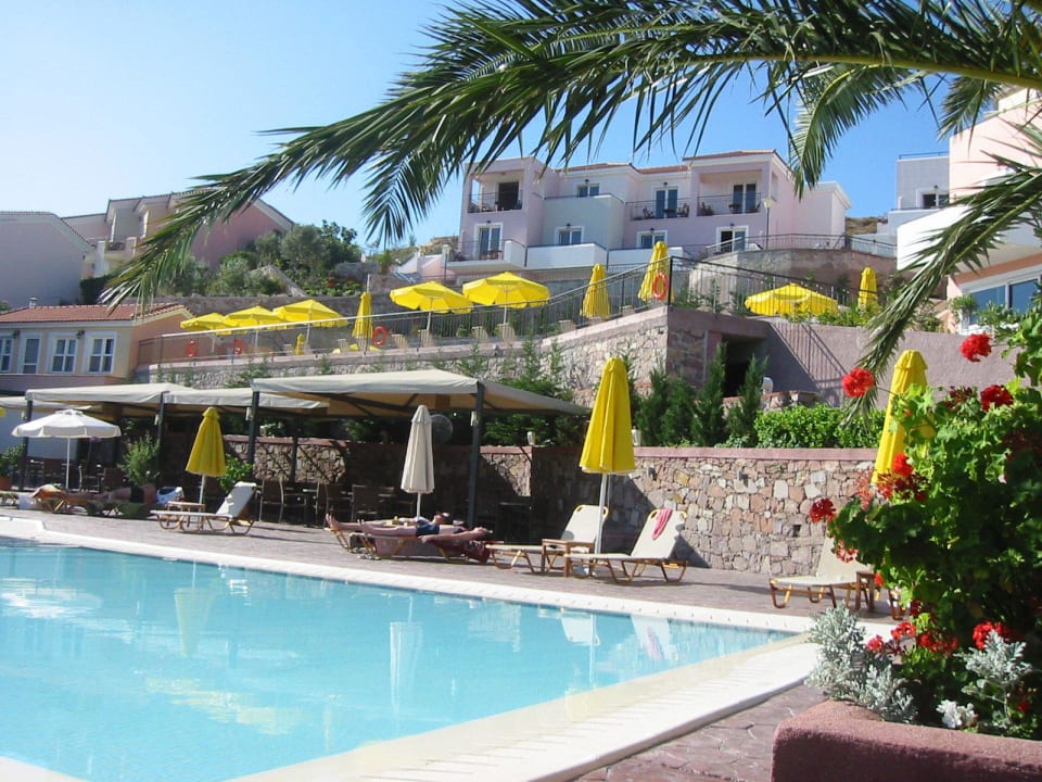 Am Pool unter Palmen Hotel Sunrise Resort