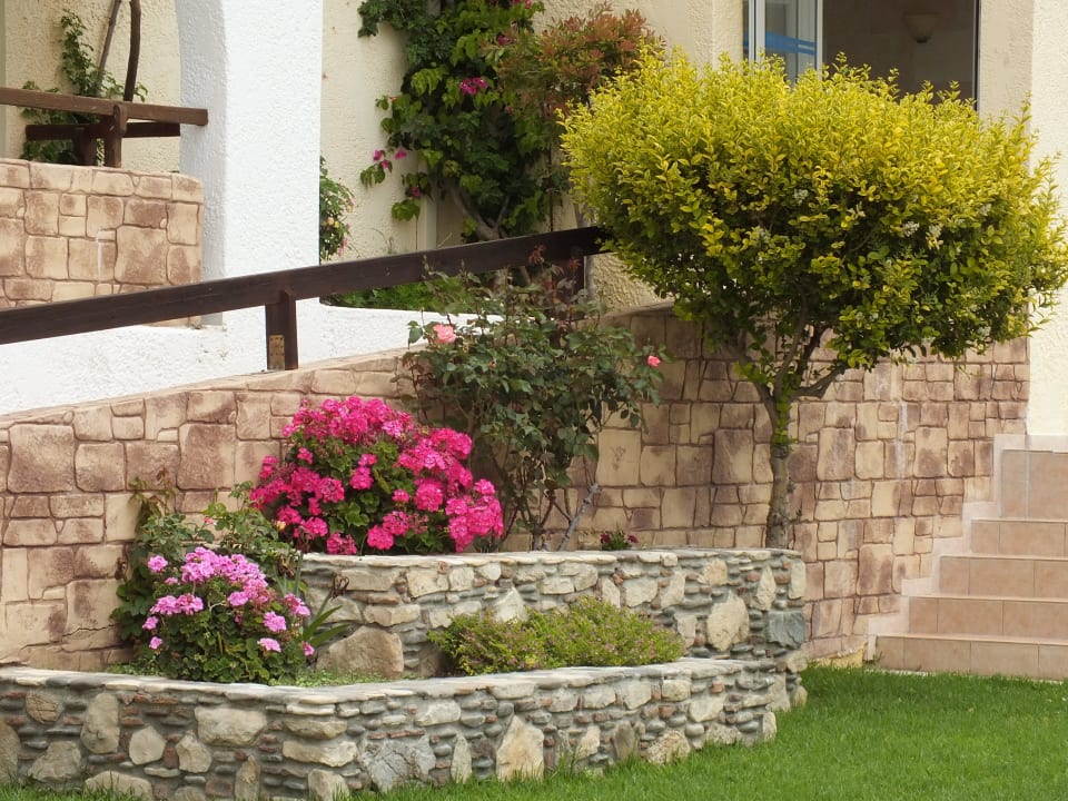 Ogród Hotel Gaia Village