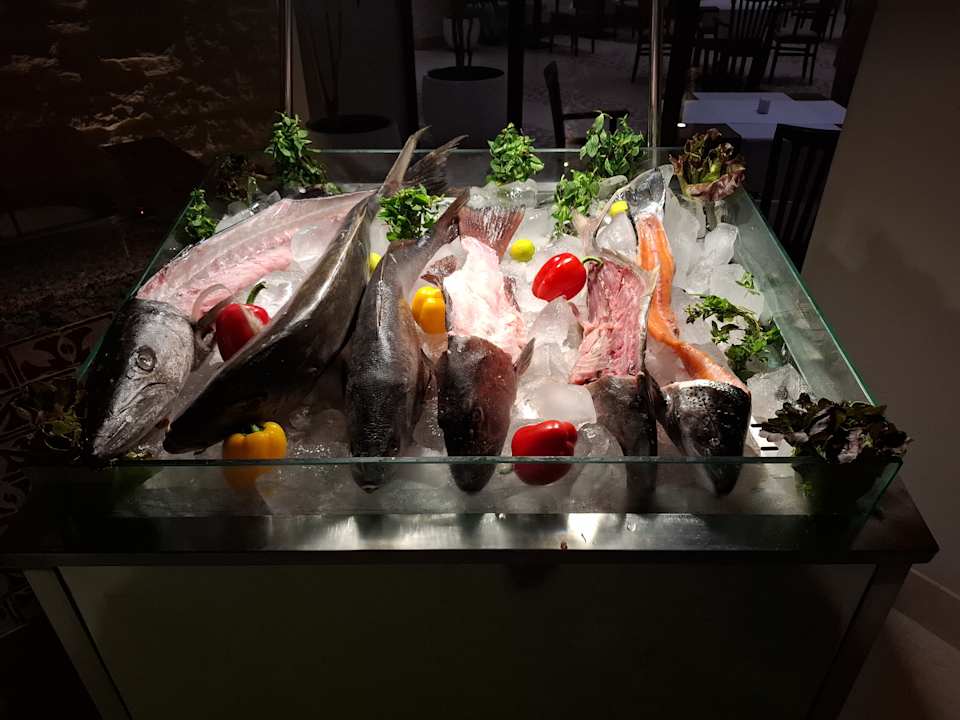 Gastro Steigenberger Resort Alaya Marsa Alam - Red Sea - Adults only