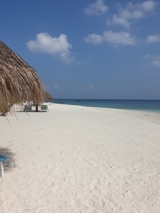 Strand Fihalhohi Maldives