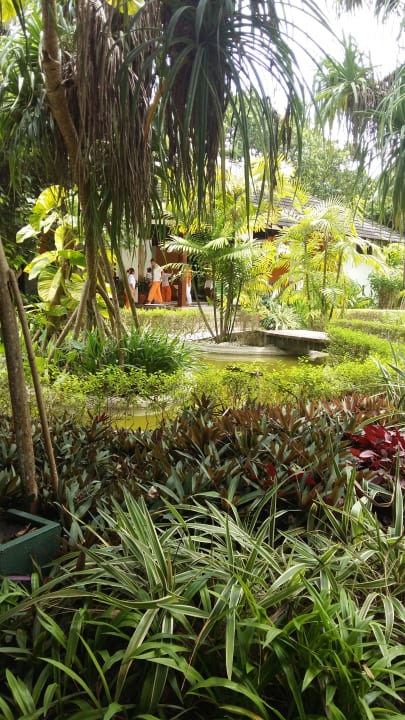 Gartenanlage Adaaran Select Meedhupparu Island Resort - Premium All Inclusive