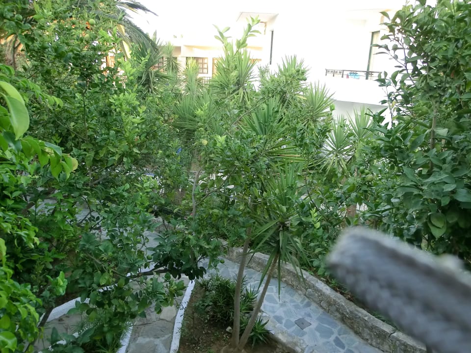 Blick vom ersten Stock  HARPIN Happy Days Beach Hotel