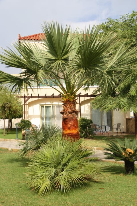 Gepflegte Außenanlage Lindos Princess Beach Resort & Spa