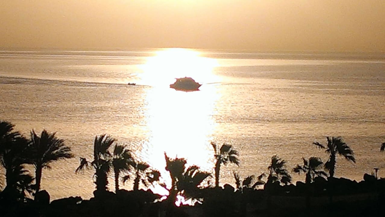 Boot im Sonnenaufgang Pickalbatros Citadel Resort