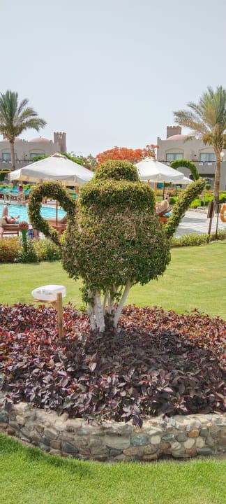 Gartenanlage Sentido Akassia Beach