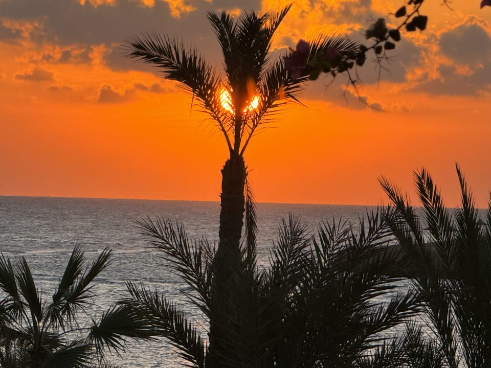 Ausblick Steigenberger Coraya Beach - Adults only