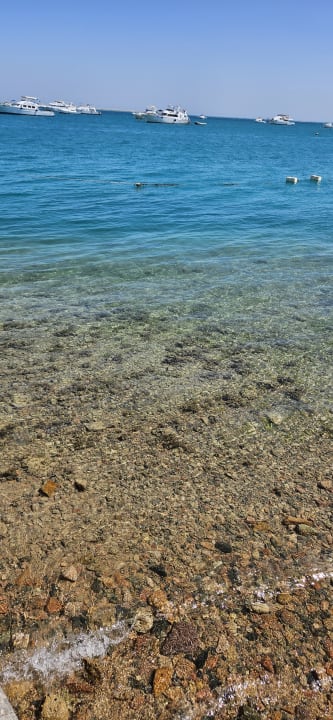 Strand The Grand Palace - Adults only