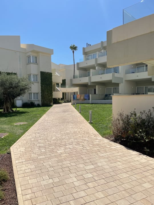 Gartenanlage Hipotels Mediterraneo Club