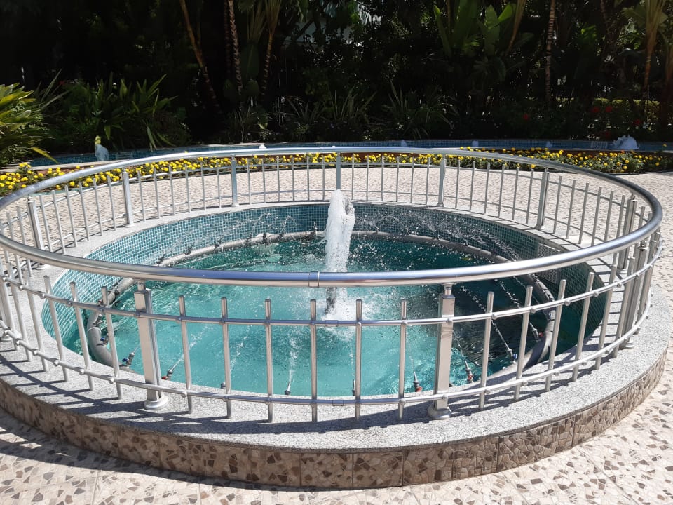 Pool Hotel Delphin Imperial