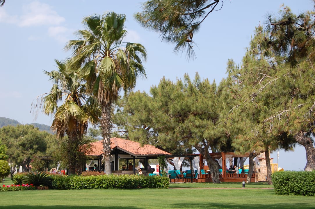 Gartenanlage TUI MAGIC LIFE Beldibi +16