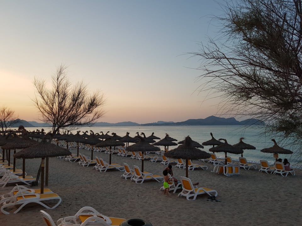 Strand Grupotel Farrutx
