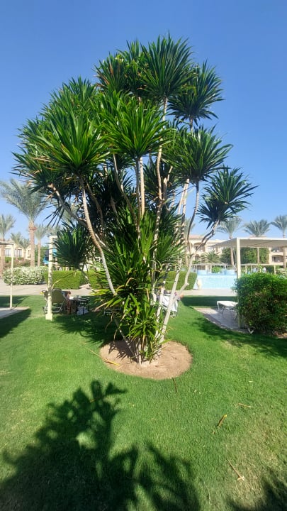 Außenansicht JAZ Aquamarine Resort