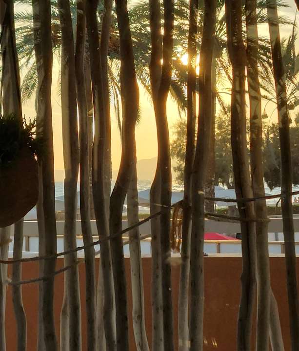 Ausblick allsun Hotel Pil-lari Playa