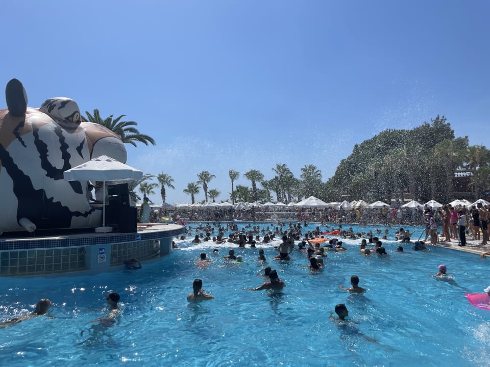 Pool Hotel Botanik Platinum